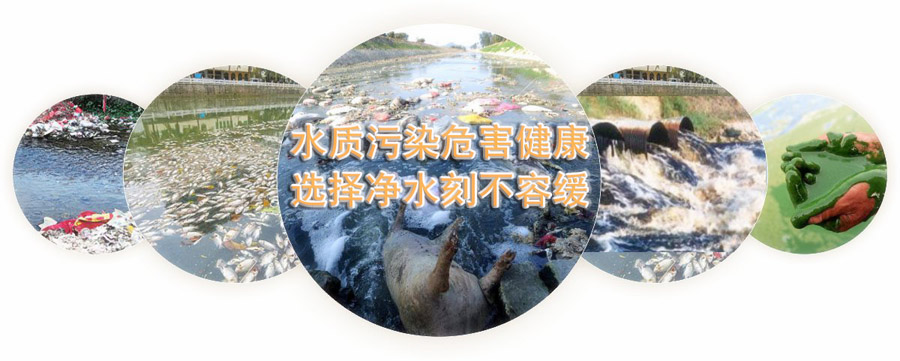 1633849198149114.jpg 1.jpg